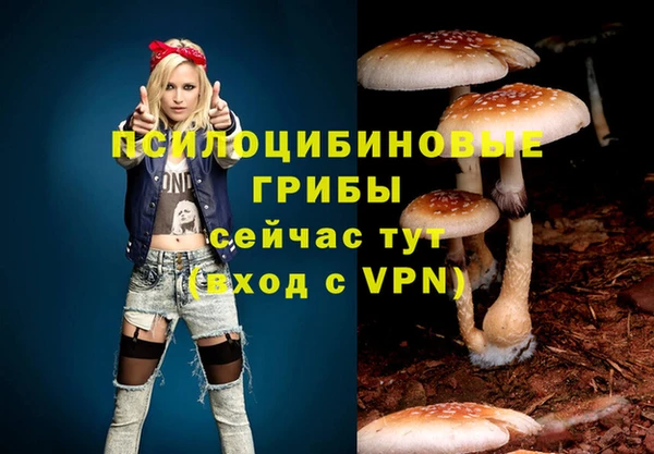 прущие грибы Алексеевка